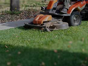 Entretien de jardins